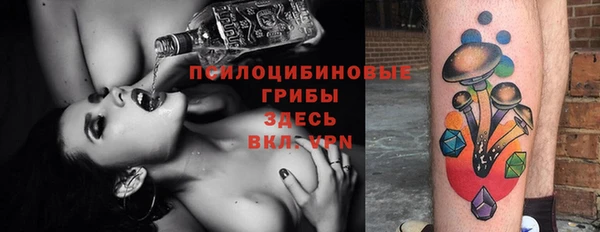 соль ск Верхний Тагил