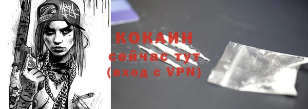 кокс Бородино