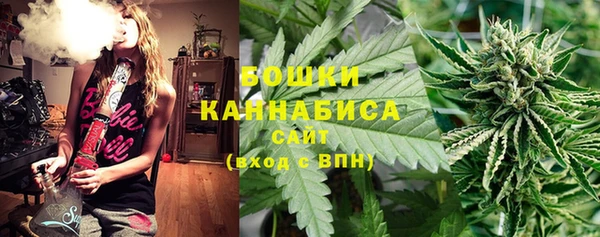 соль ск Верхний Тагил