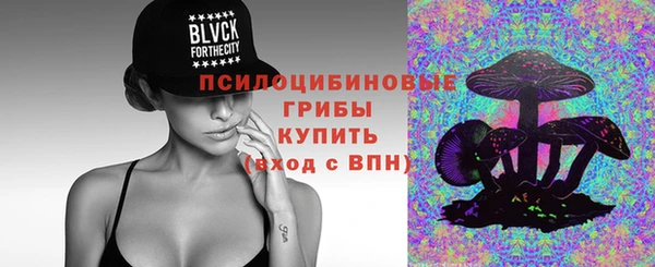 соль ск Верхний Тагил