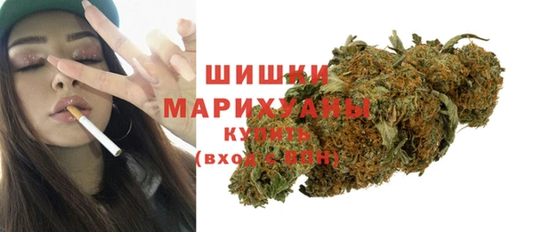 PSILOCYBIN Бугульма