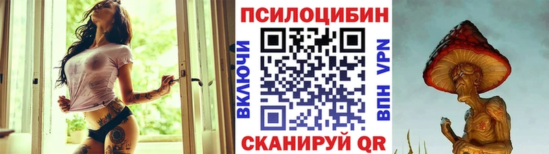 закладка  Гаджиево  Галлюциногенные грибы прущие грибы 